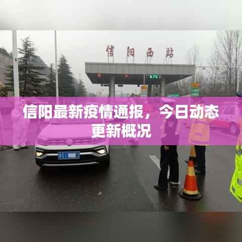 信阳最新疫情通报，今日动态更新概况