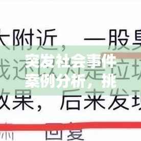 突发社会事件案例分析,挑战应对与深度反思