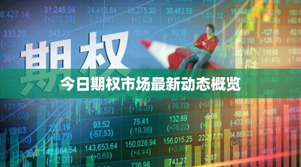 今日期权市场最新动态概览