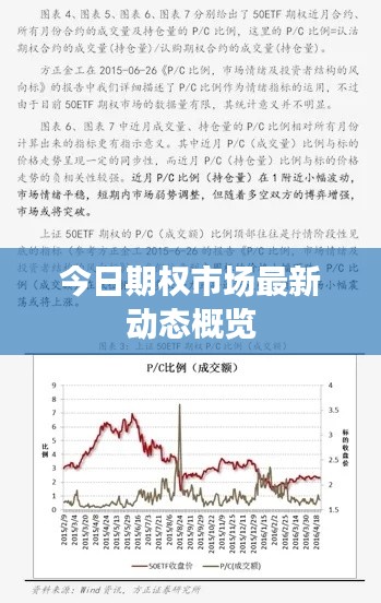 今日期权市场最新动态概览