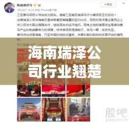 海南瑞泽公司行业翘楚地位显赫
