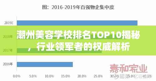 潮州美容学校排名TOP10揭秘,行业领军者的权威解析