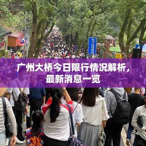 广州大桥今日限行情况解析,最新消息一览
