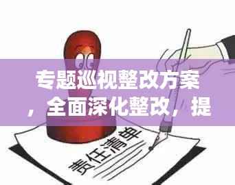 专题巡视整改方案,全面深化整改,提升监督效能