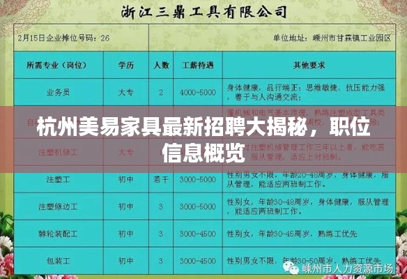 杭州美易家具最新招聘大揭秘,职位信息概览