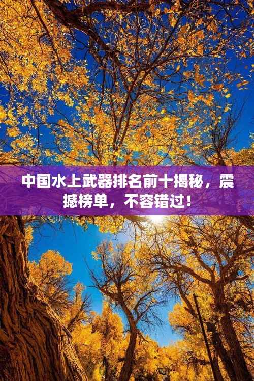 中国水上武器排名前十揭秘，震撼榜单，不容错过！