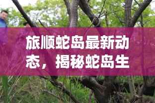 鸟声兽心 第4页