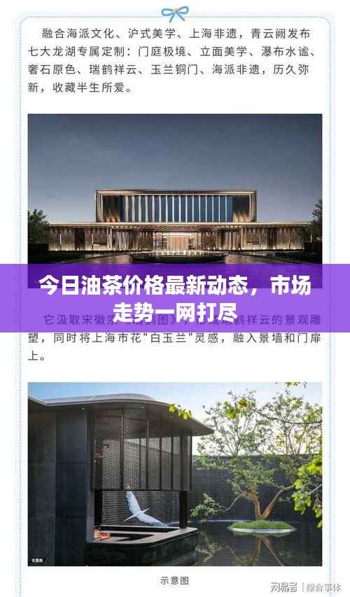 今日油茶价格最新动态,市场走势一网打尽