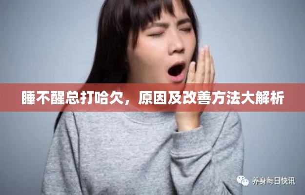 睡不醒总打哈欠,原因及改善方法大解析