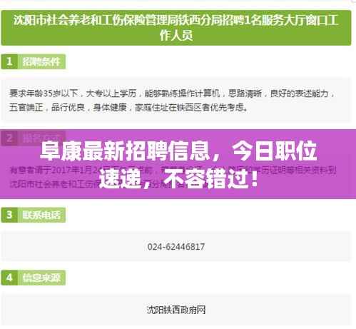 阜康最新招聘信息，今日职位速递，不容错过！