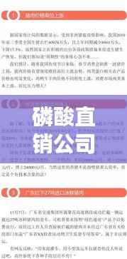 磷酸直销公司排名揭秘,行业影响力不容小觑