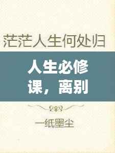 人生必修课，离别的故事不断上演