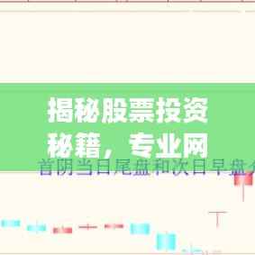 揭秘股票投资秘籍,专业网站助你轻松掌握股市动态,百度收录必备指南!