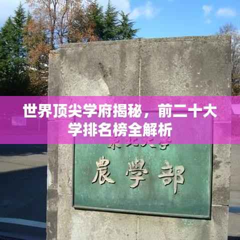 世界顶尖学府揭秘,前二十大学排名榜全解析