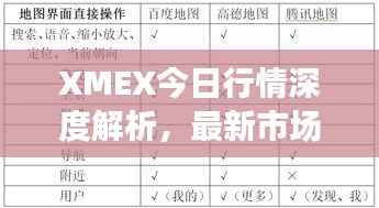 XMEX今日行情深度解析,最新市场动态一网打尽