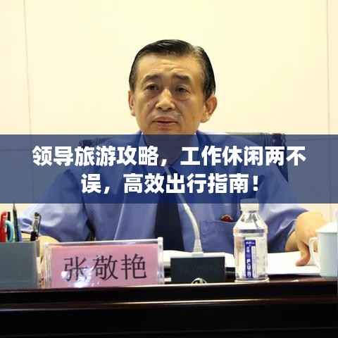 领导旅游攻略,工作休闲两不误,高效出行指南!