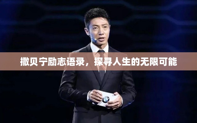 撒贝宁励志语录,探寻人生的无限可能