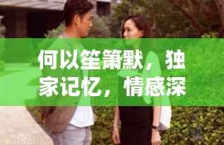 何以笙箫默,独家记忆,情感深度解析