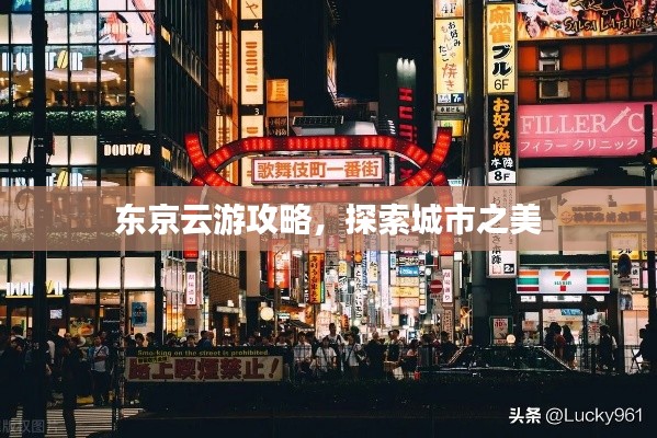 东京云游攻略,探索城市之美