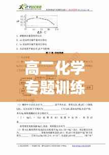 高二化学专题训练,深化理解与提升应用能力实战攻略