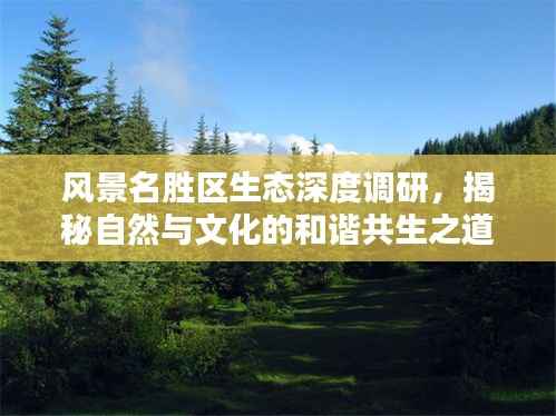 风景名胜区生态深度调研，揭秘自然与文化的和谐共生之道