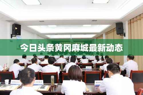 今日头条黄冈麻城最新动态