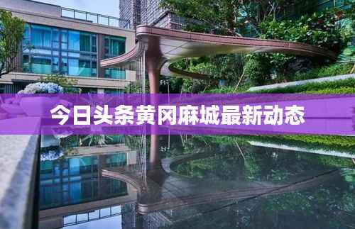 今日头条黄冈麻城最新动态