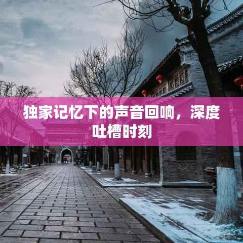 独家记忆下的声音回响,深度吐槽时刻