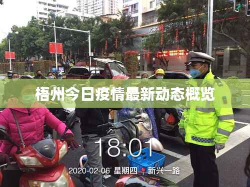 梧州今日疫情最新动态概览