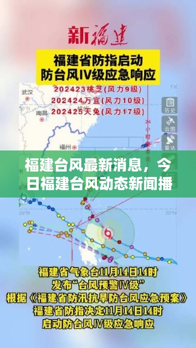福建台风最新消息,今日福建台风动态新闻播报