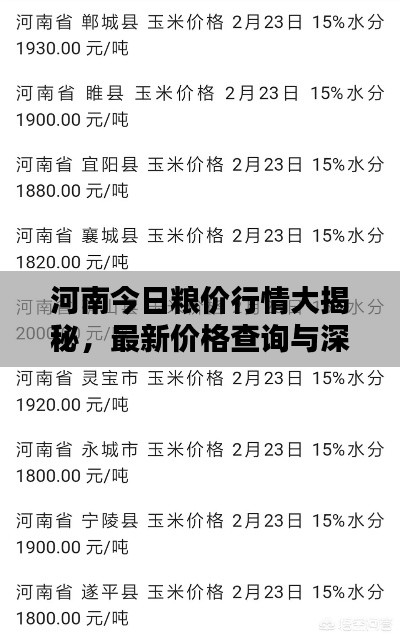 河南今日粮价行情大揭秘,最新价格查询与深度分析