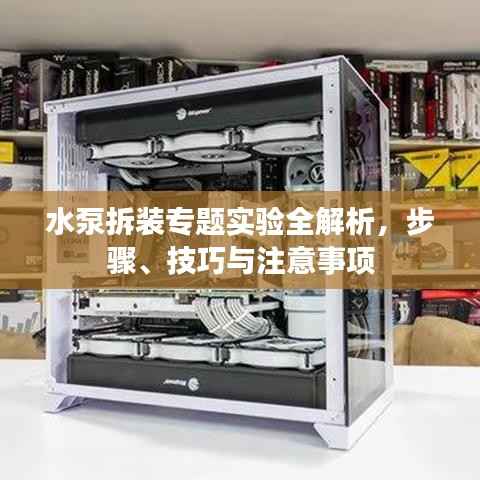 水泵拆装专题实验全解析,步骤、技巧与注意事项