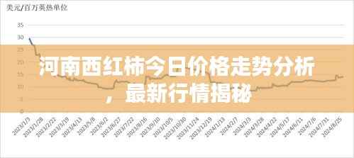 河南西红柿今日价格走势分析,最新行情揭秘