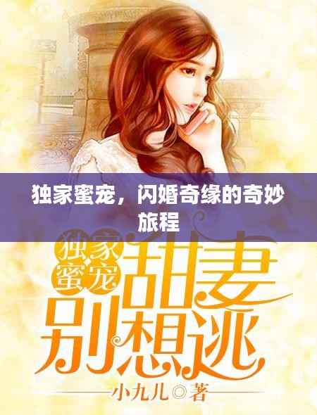 独家蜜宠,闪婚奇缘的奇妙旅程