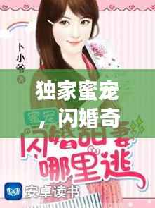 独家蜜宠,闪婚奇缘的奇妙旅程