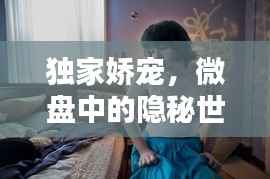 独家娇宠,微盘中的隐秘世界揭秘
