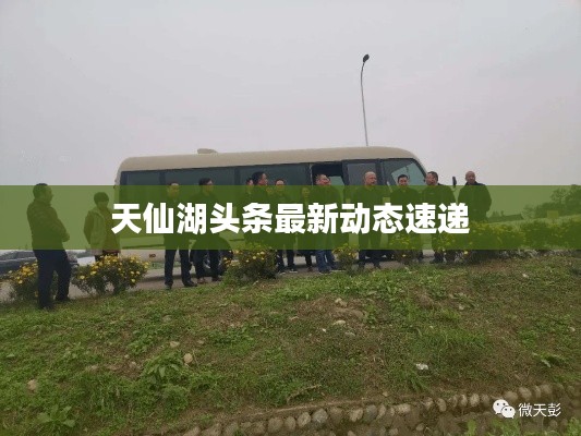 生离死别 第4页