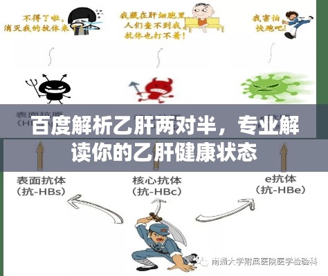 百度解析乙肝两对半，专业解读你的乙肝健康状态