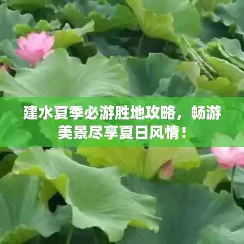 建水夏季必游胜地攻略,畅游美景尽享夏日风情!