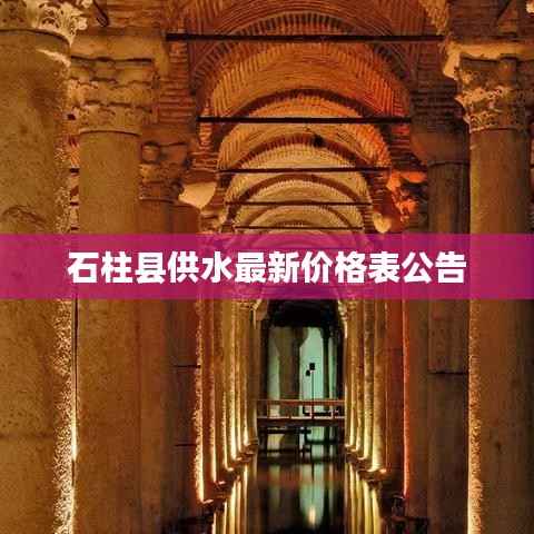 衣无二彩 第3页