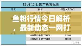 鱼粉行情今日解析，最新动态一网打尽