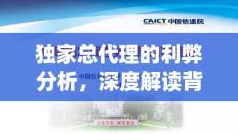 独家总代理的利弊分析，深度解读背后的优势与挑战