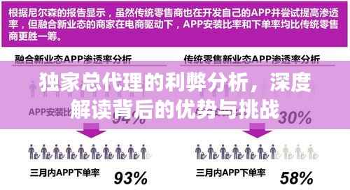 独家总代理的利弊分析,深度解读背后的优势与挑战