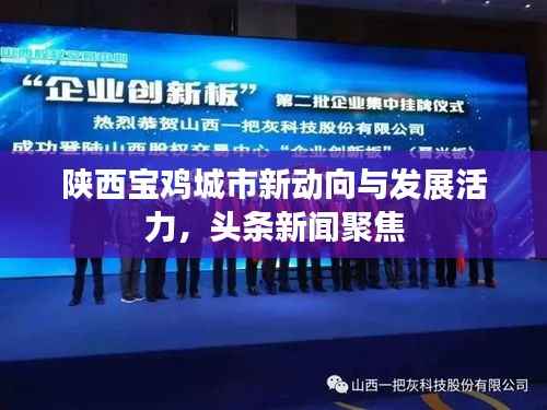 陕西宝鸡城市新动向与发展活力,头条新闻聚焦