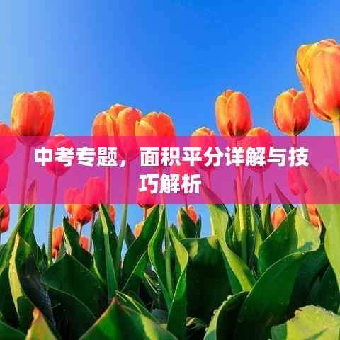 中考专题，面积平分详解与技巧解析