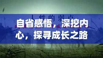 自省感悟，深挖内心，探寻成长之路