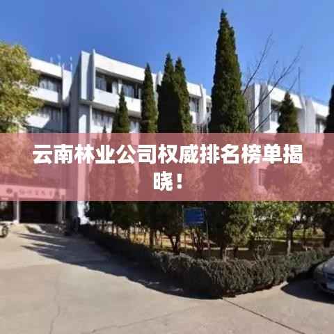 云南林业公司权威排名榜单揭晓!