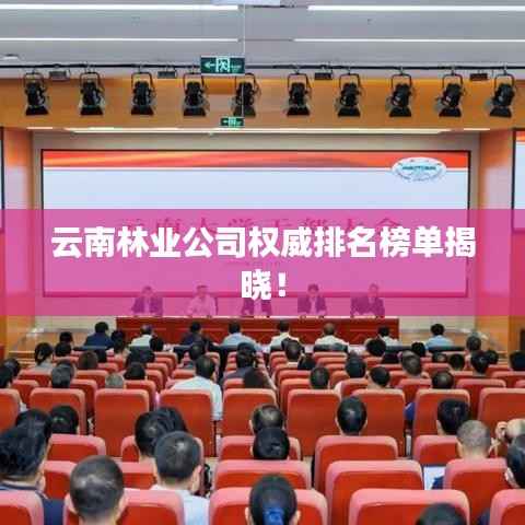 云南林业公司权威排名榜单揭晓!