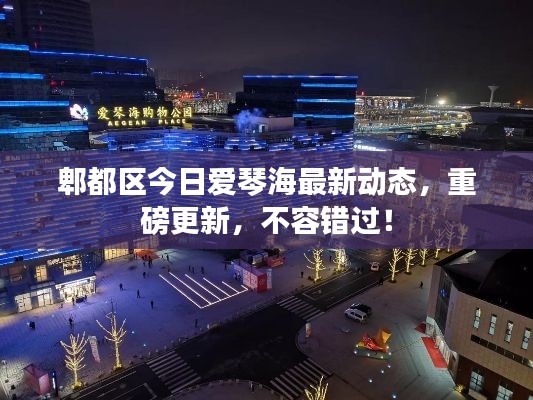 郫都区今日爱琴海最新动态,重磅更新,不容错过!