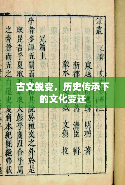古文蜕变，历史传承下的文化变迁
